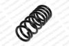 ROC CS6770 Coil Spring